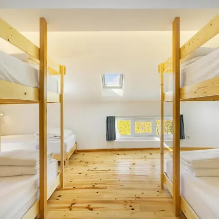 Forest - Hostel