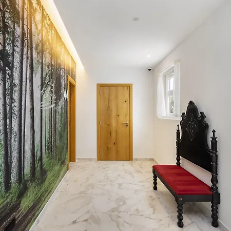 Forest - * Leiria