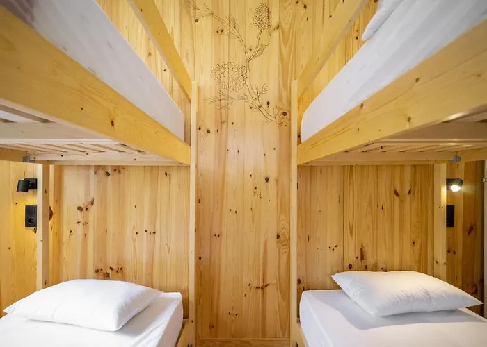 Forest - * לייריה