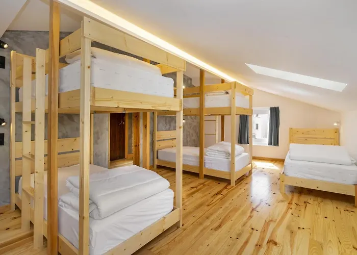 אכסניה Forest - *