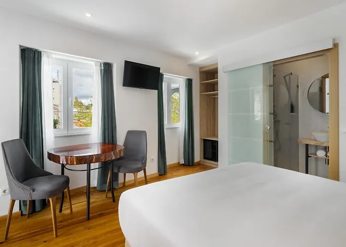 Forest - * לייריה