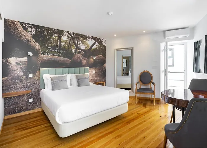 Forest - לייריה