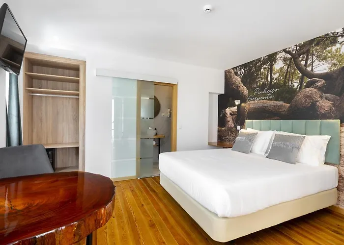 אכסניה Forest -