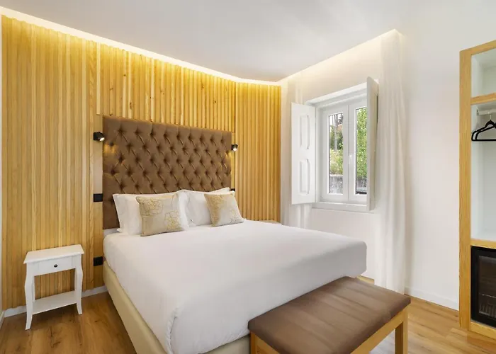 Forest - לייריה