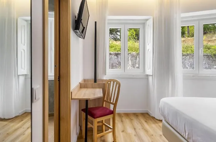 Forest - לייריה