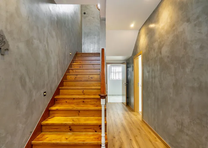 Forest - אכסניה