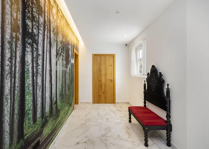 Forest - * לייריה