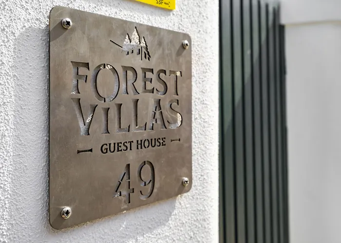 Forest - אכסניה *