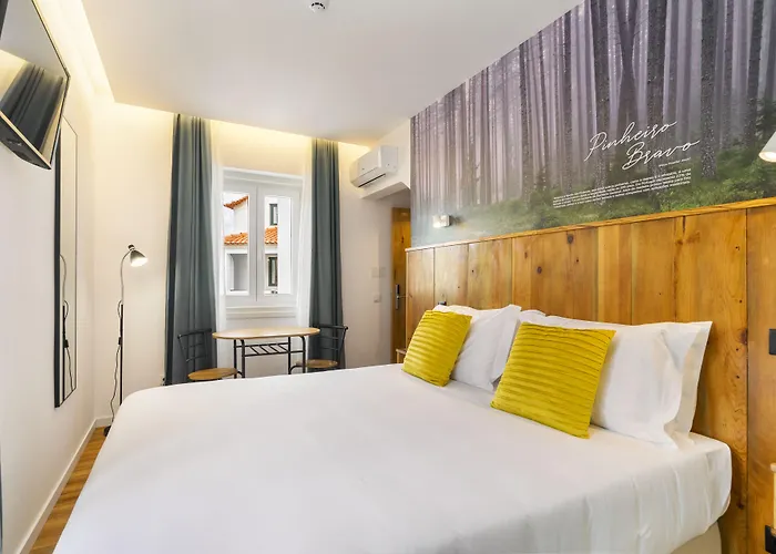 Forest - לייריה