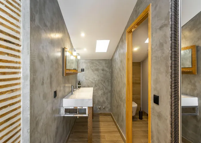 Forest - * לייריה