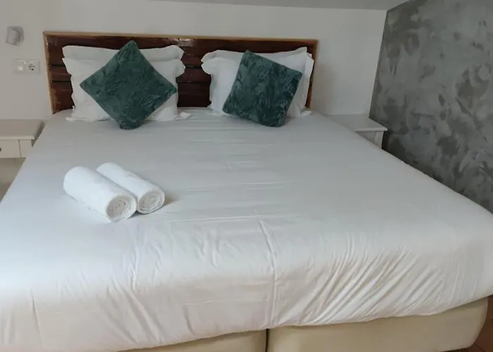 Forest - לייריה